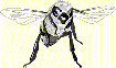 Mastick Bee